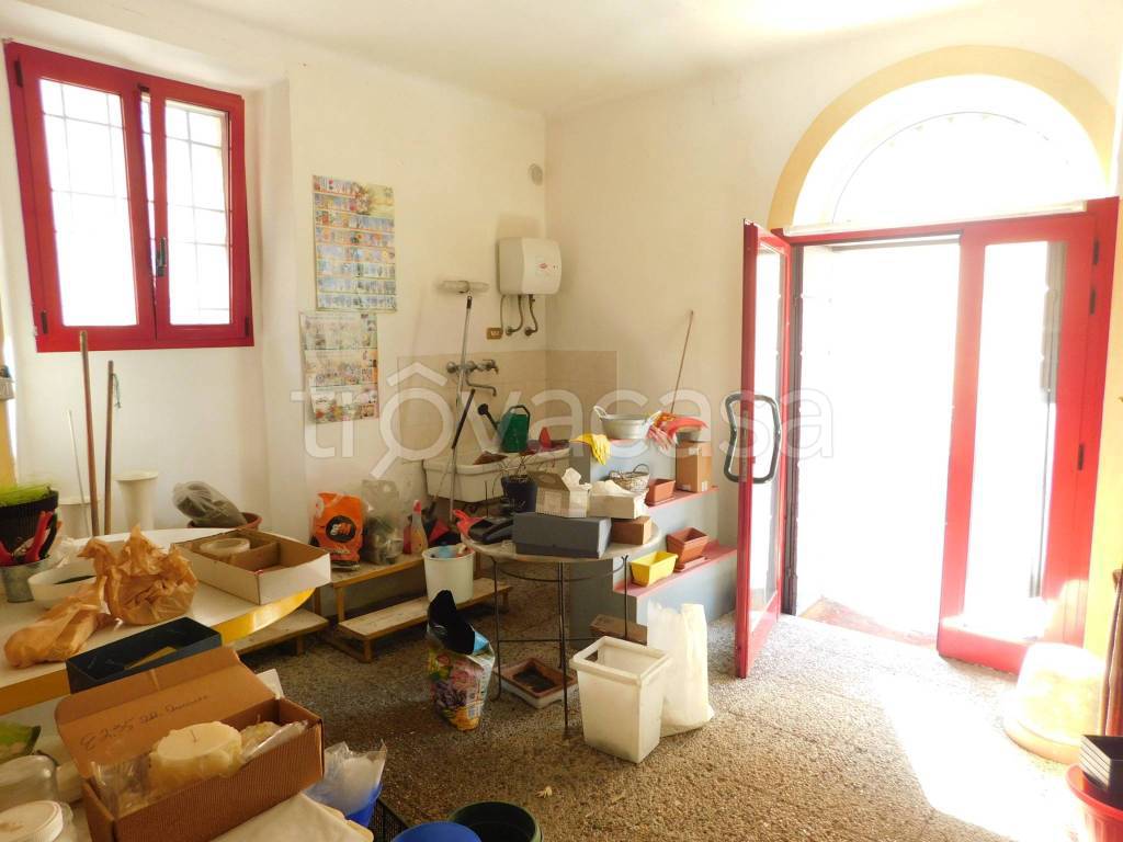 immagine annuncio 7 di 12