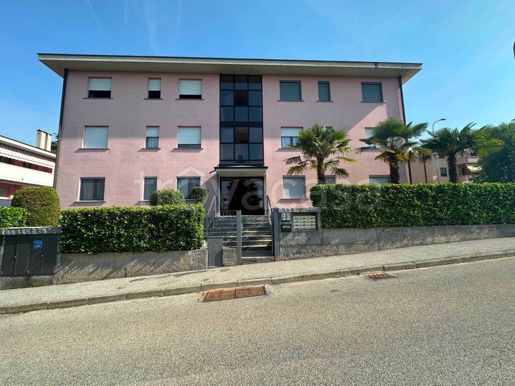 immagine annuncio 1 di 12