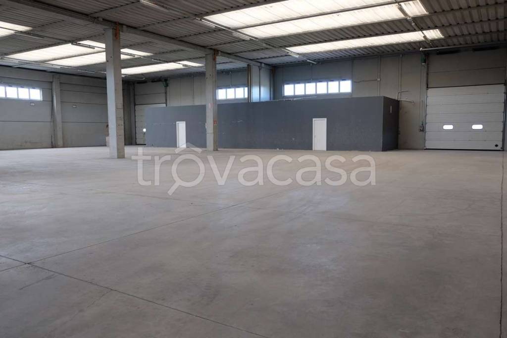immagine annuncio 3 di 7
