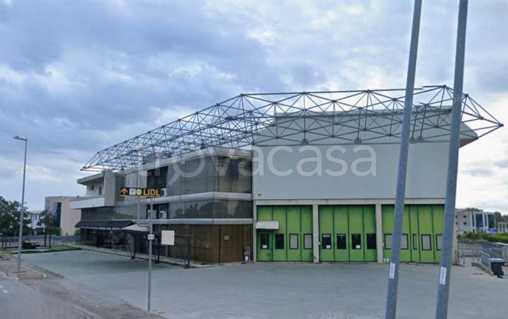 immagine annuncio 10 di 11