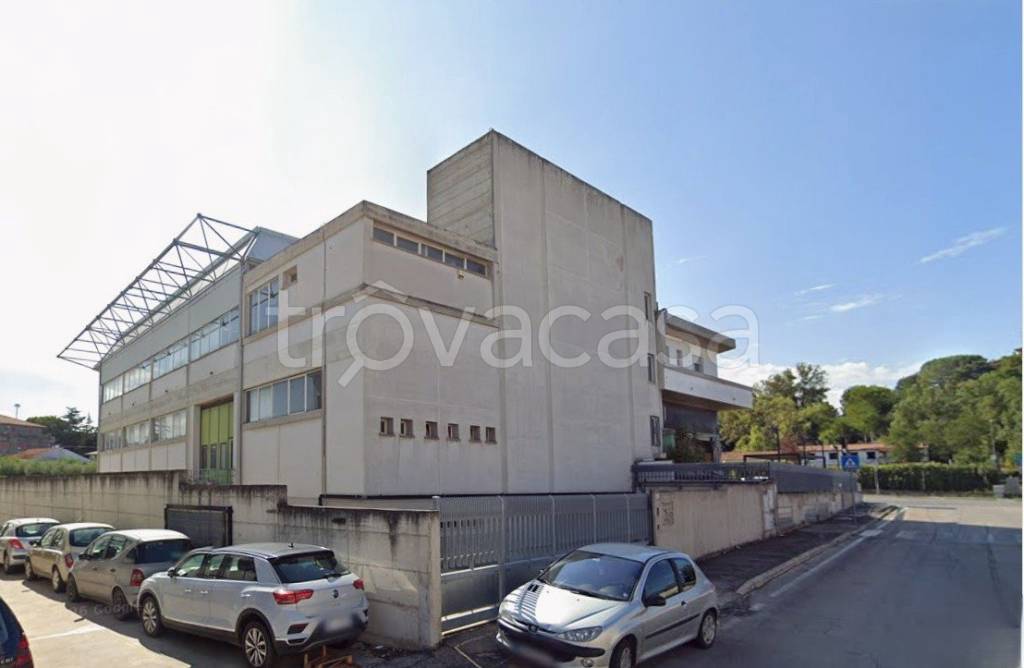 immagine annuncio 9 di 11