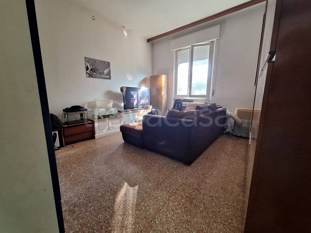 immagine annuncio 6 di 13