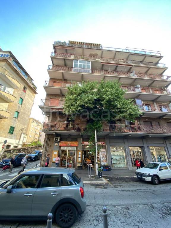 immagine annuncio 5 di 8