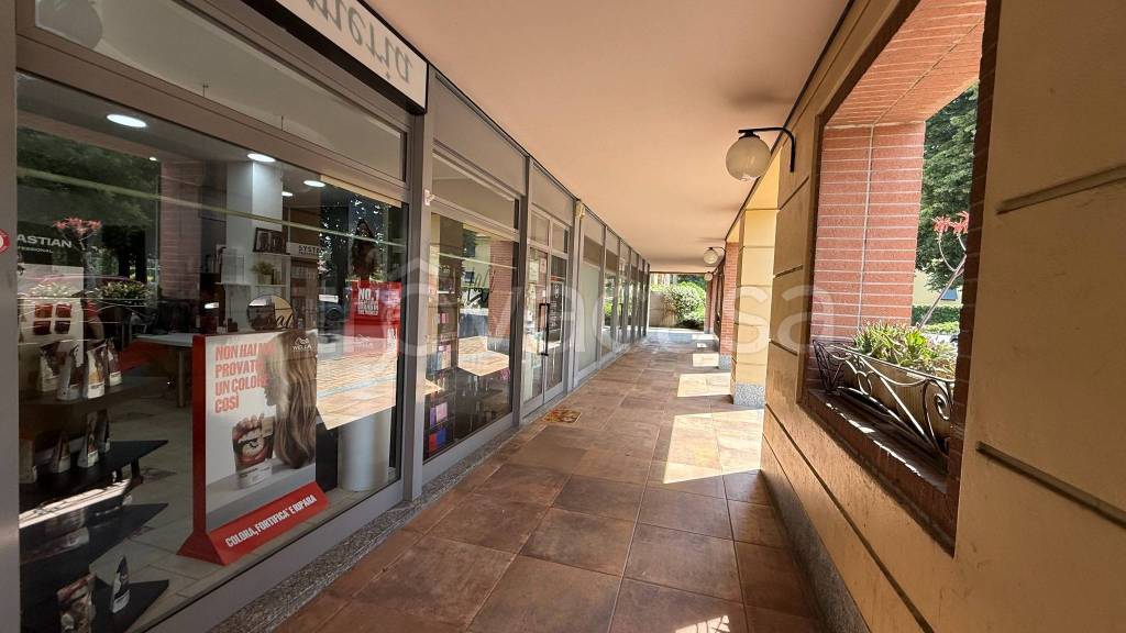 immagine annuncio 11 di 13