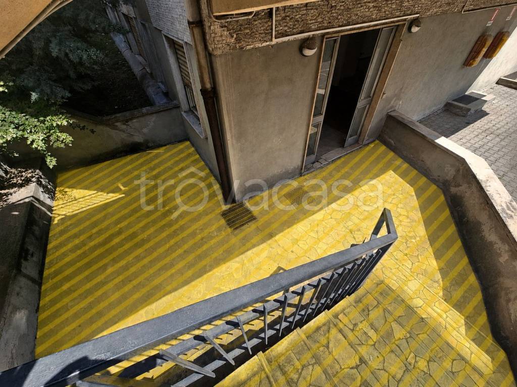 immagine annuncio 11 di 14