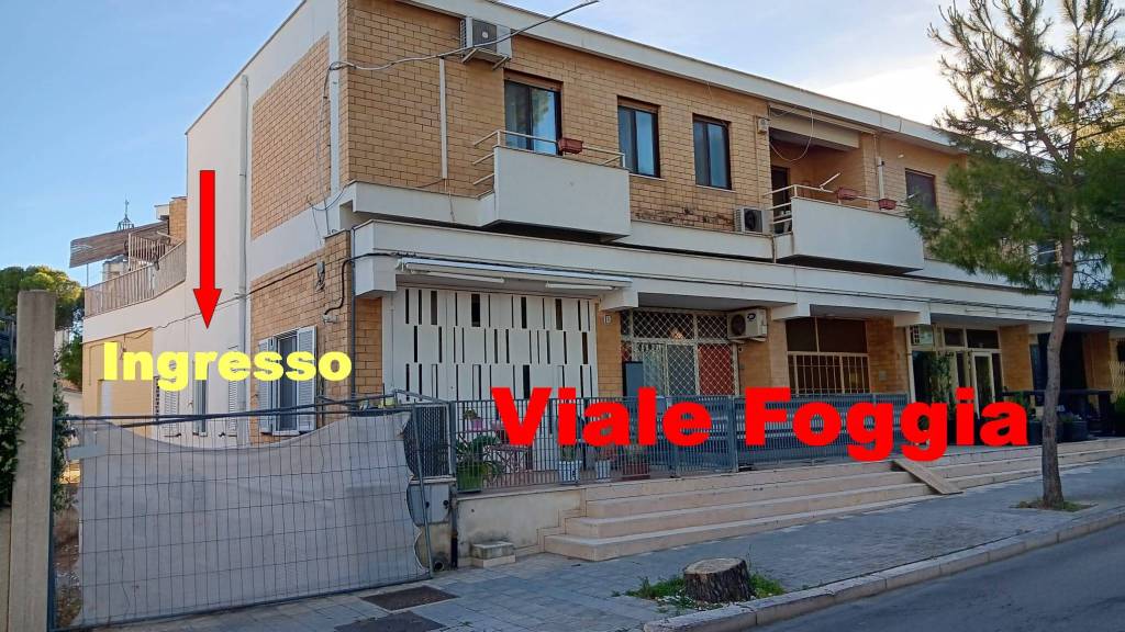 immagine annuncio 1 di 8