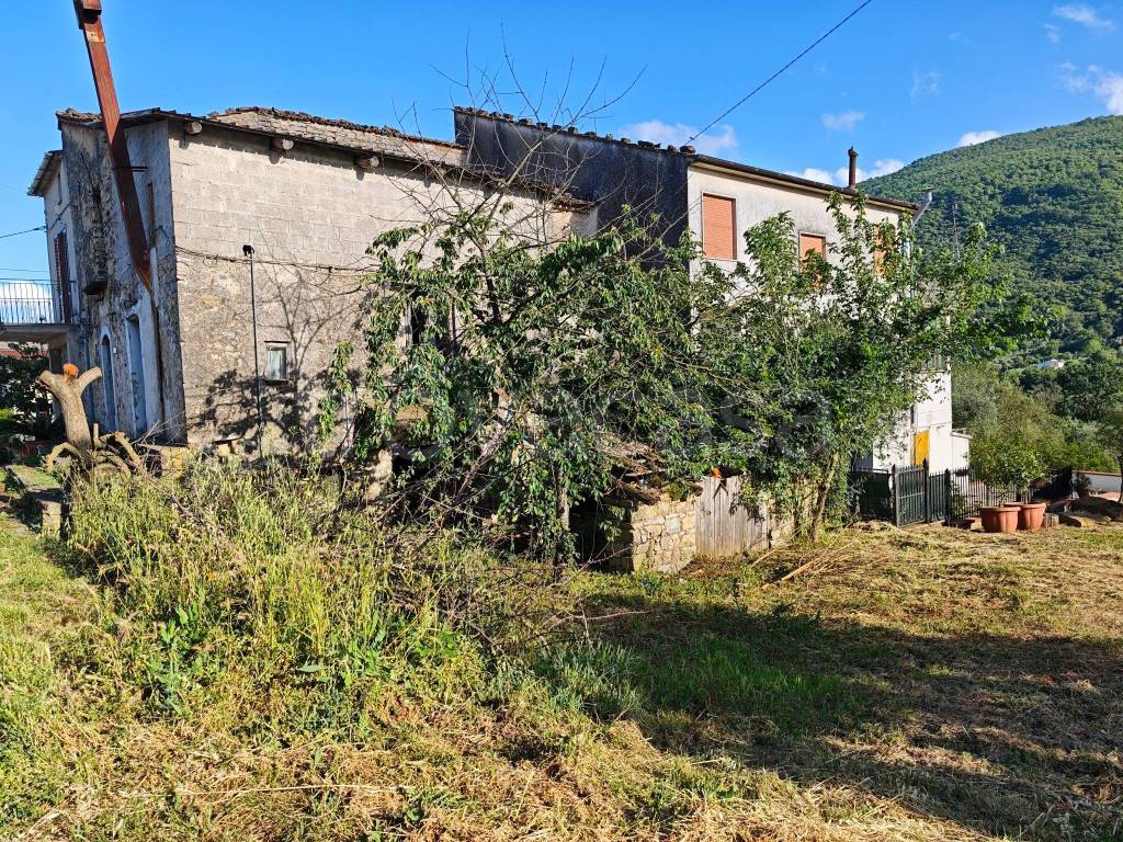 immagine annuncio 2 di 12