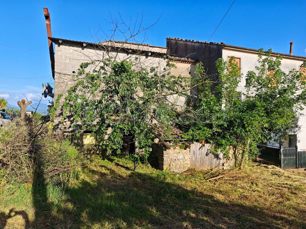 immagine annuncio 9 di 12