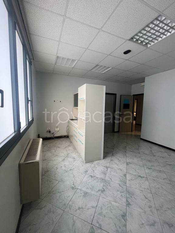 immagine annuncio 7 di 14