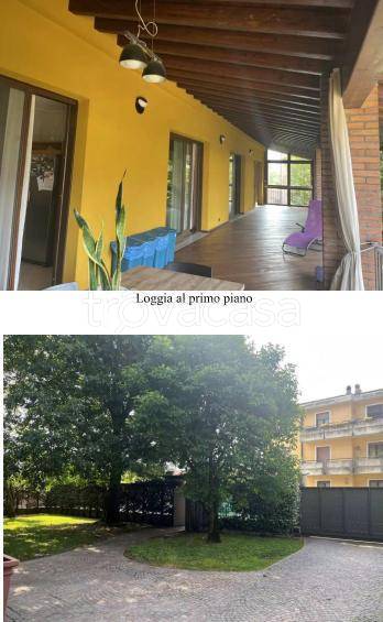 immagine annuncio 6 di 15