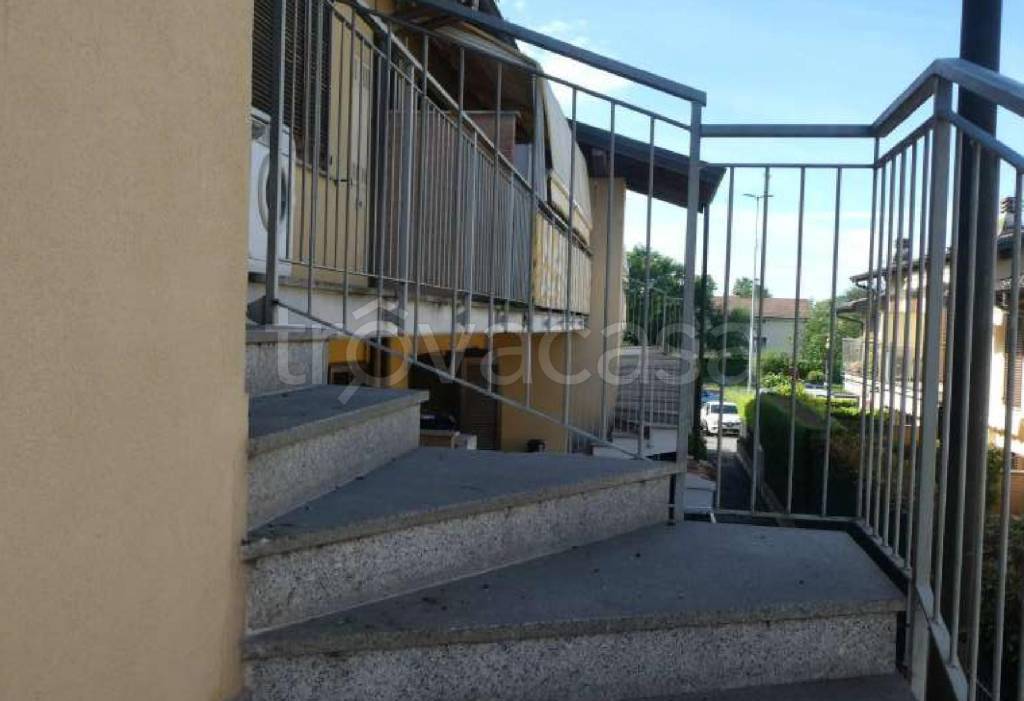 immagine annuncio 10 di 15