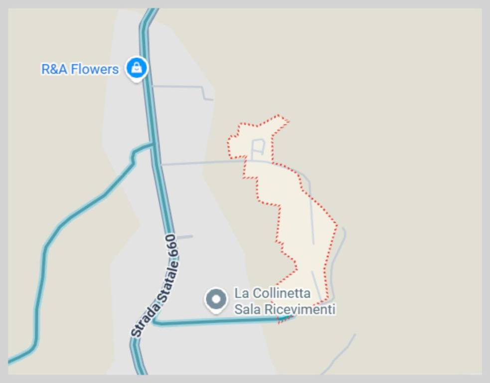 immagine annuncio 12 di 15