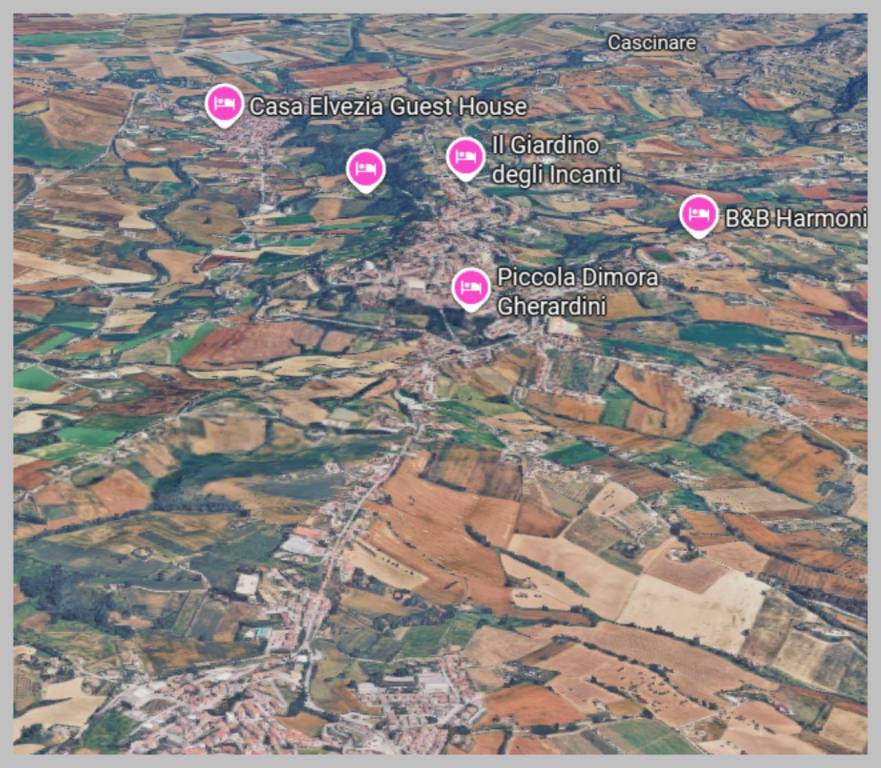 immagine annuncio 9 di 15