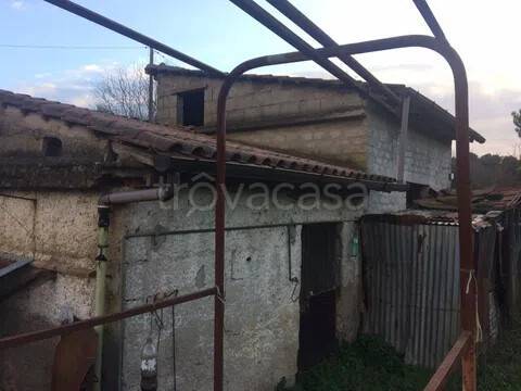 immagine annuncio 2 di 6