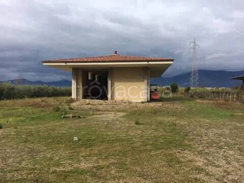 immagine annuncio 1 di 7