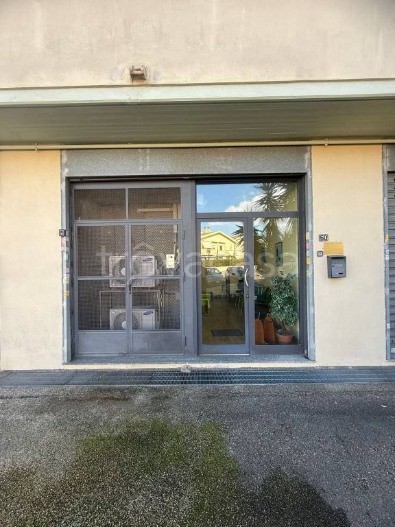 immagine annuncio 2 di 14