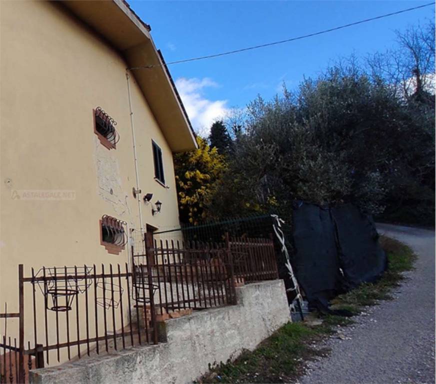 immagine annuncio 2 di 14