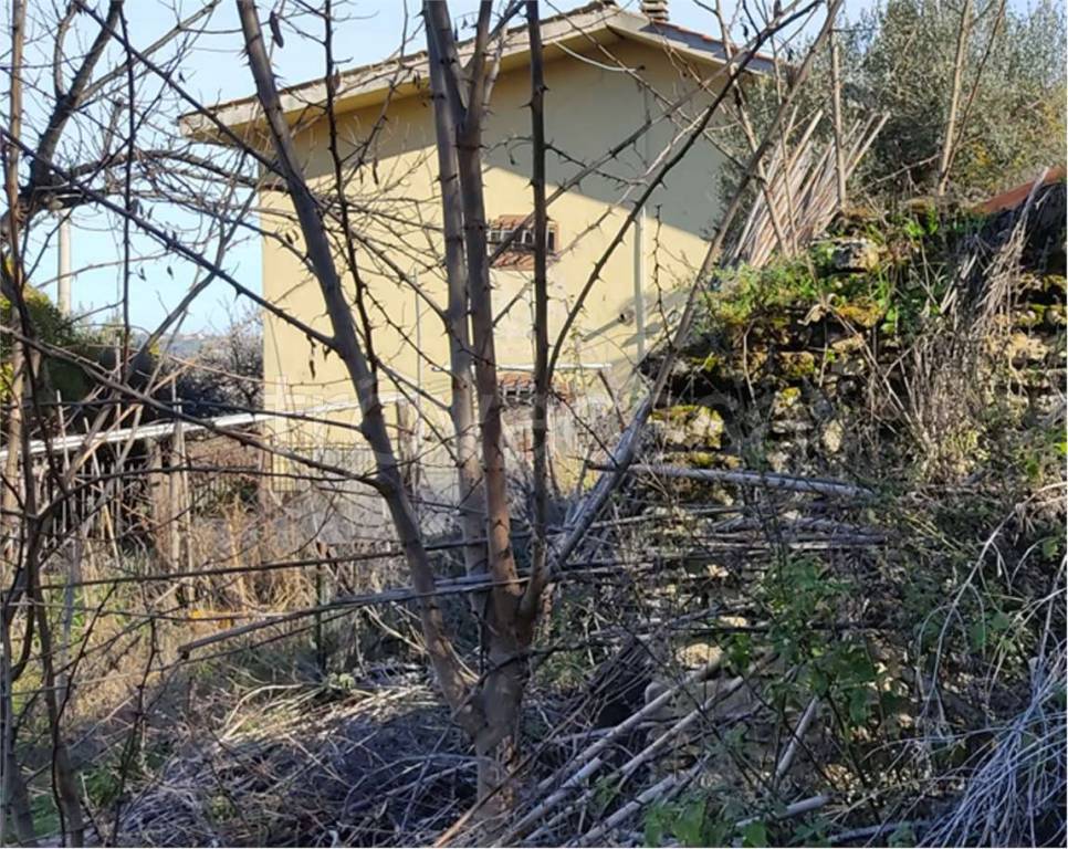 immagine annuncio 4 di 14