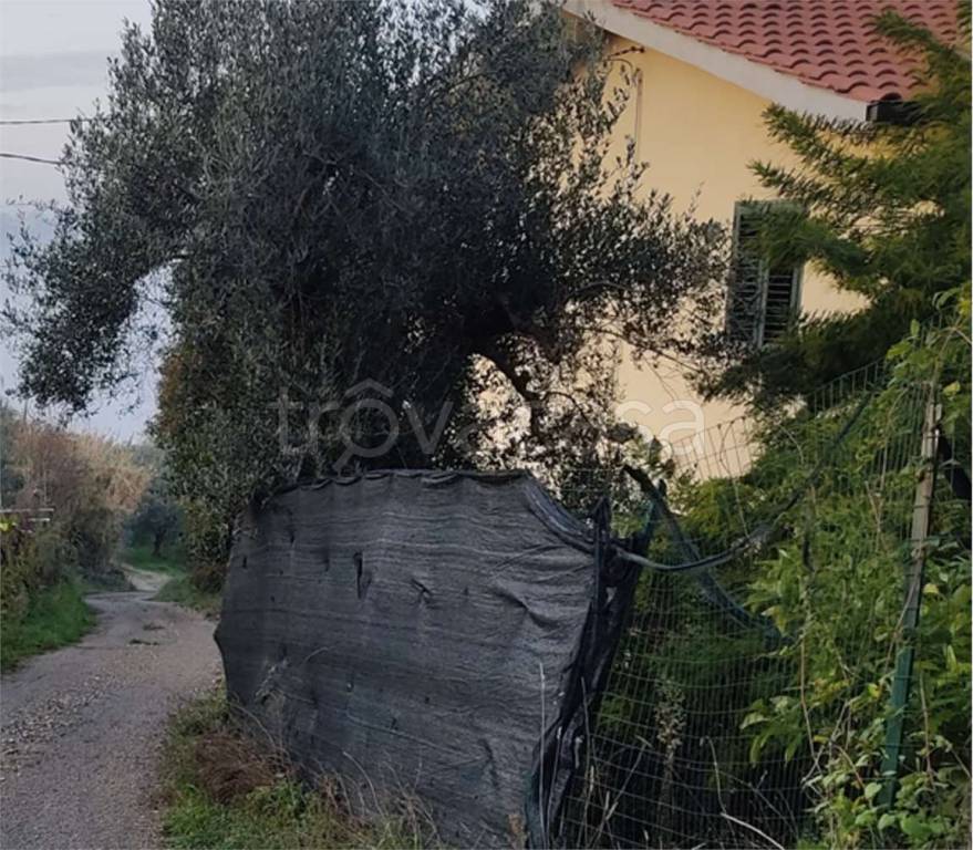 immagine annuncio 6 di 14