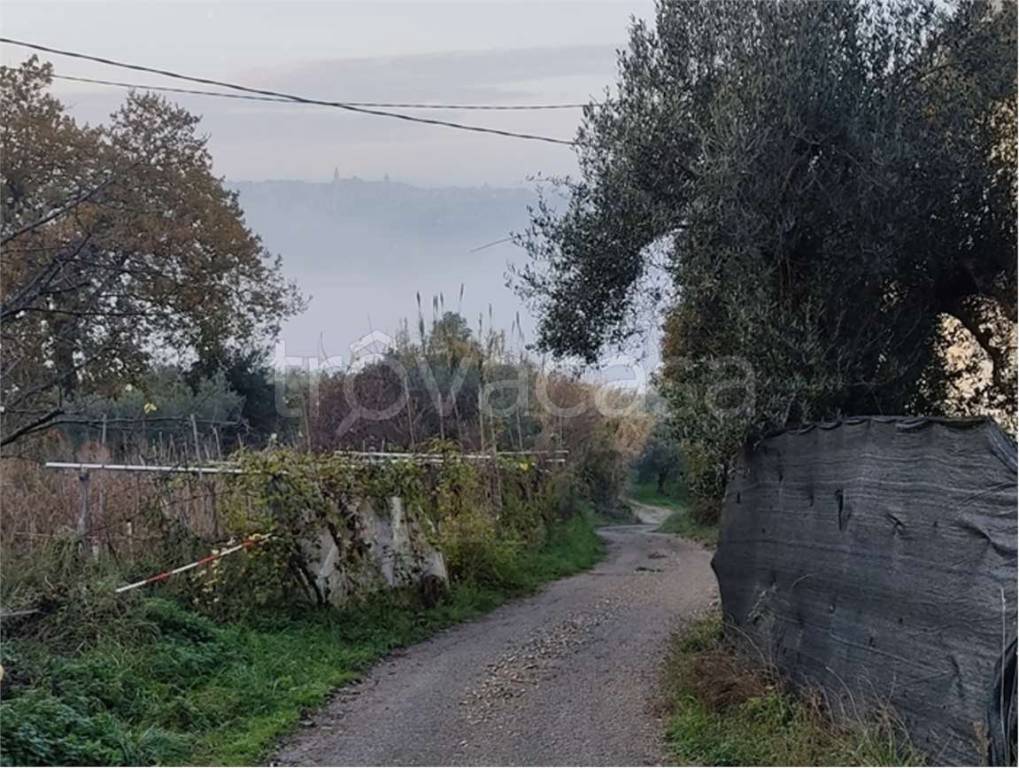 immagine annuncio 7 di 14