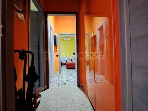 immagine annuncio 7 di 12