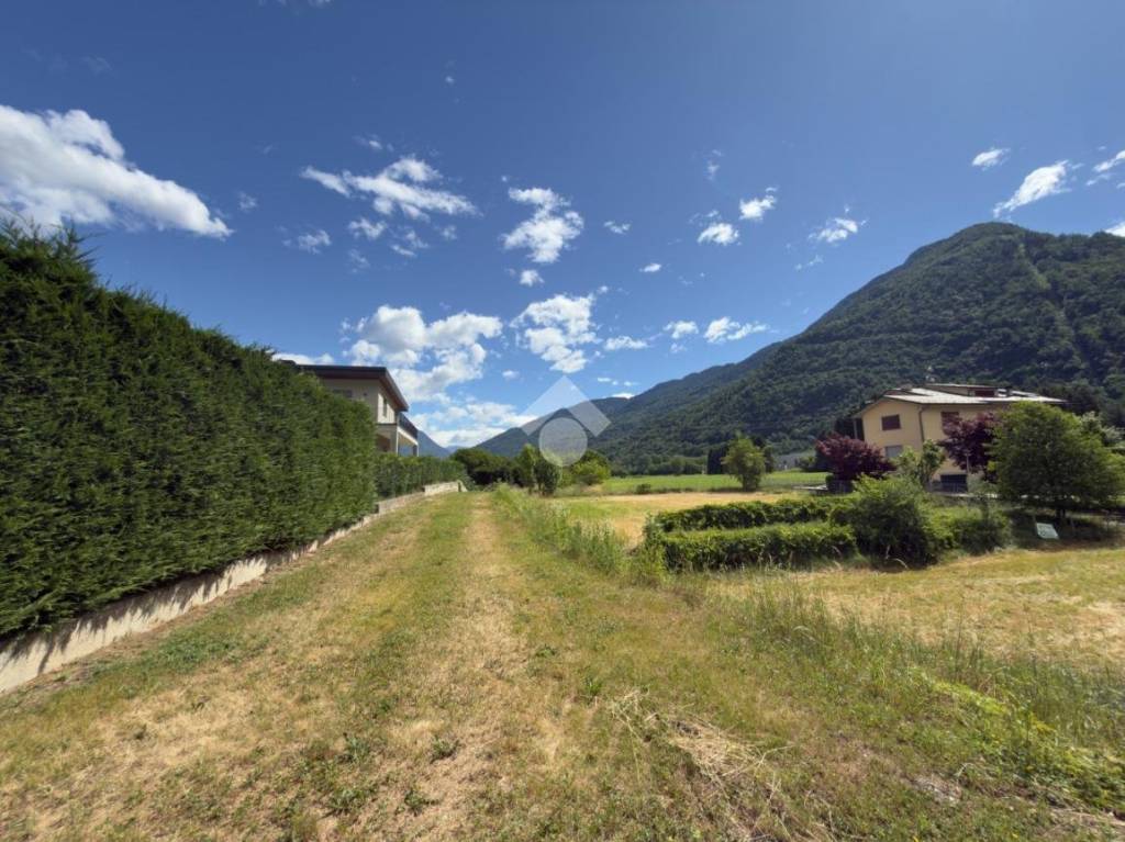 immagine annuncio 6 di 13