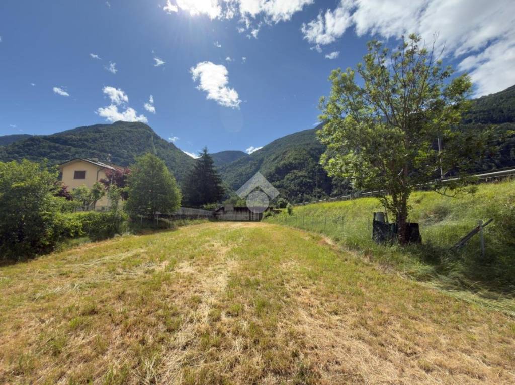 immagine annuncio 9 di 13