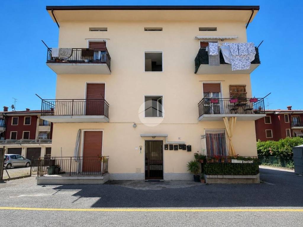 immagine annuncio 12 di 14