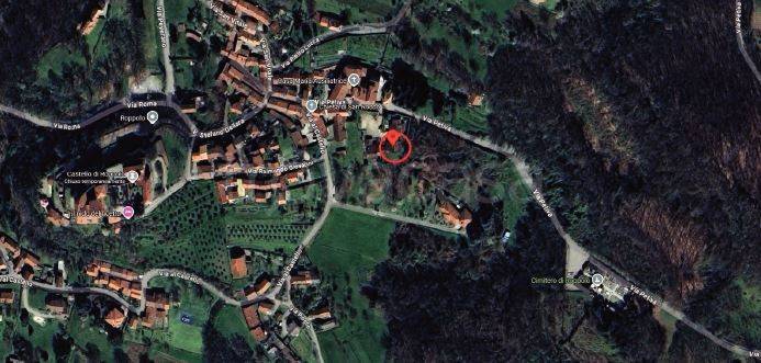 immagine annuncio 13 di 14
