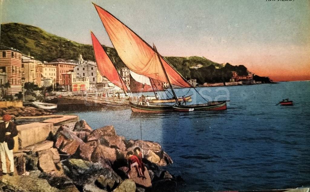 immagine annuncio 5 di 6
