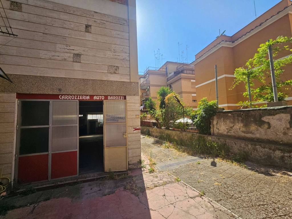 immagine annuncio 1 di 11