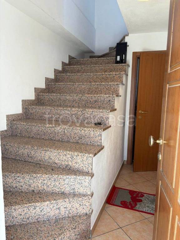 immagine annuncio 11 di 14