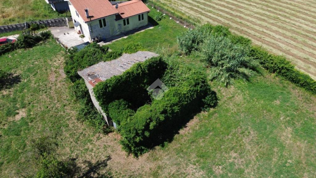 immagine annuncio 4 di 7