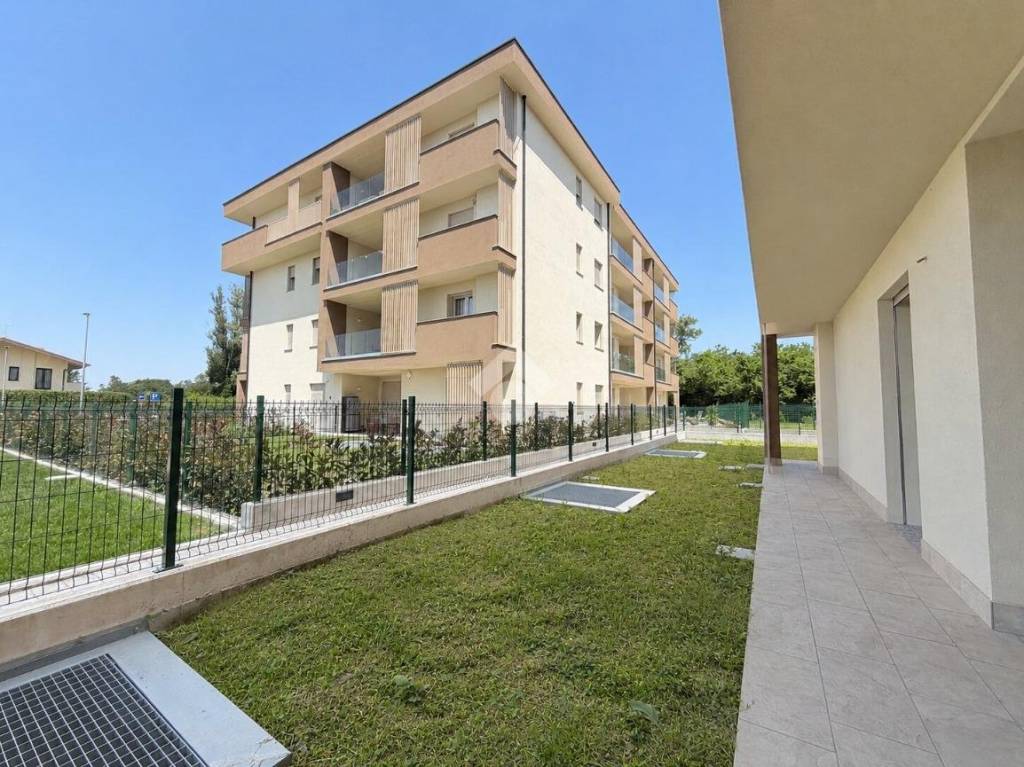 immagine annuncio 7 di 15