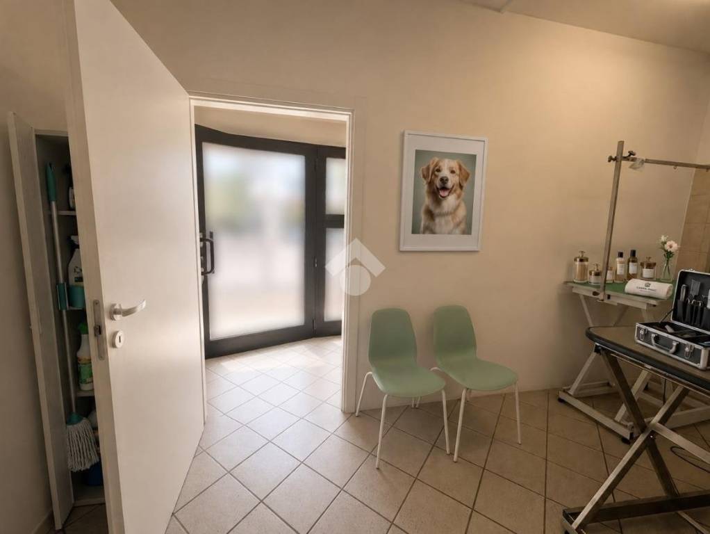 immagine annuncio 1 di 9