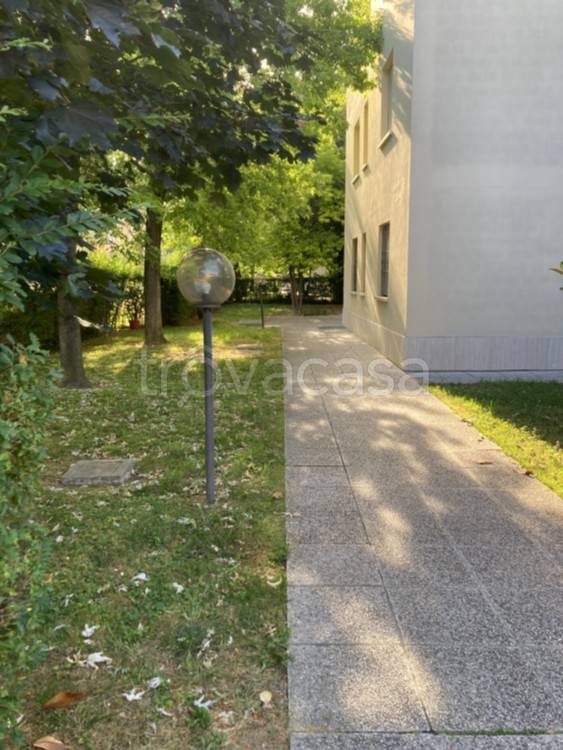 immagine annuncio 9 di 12
