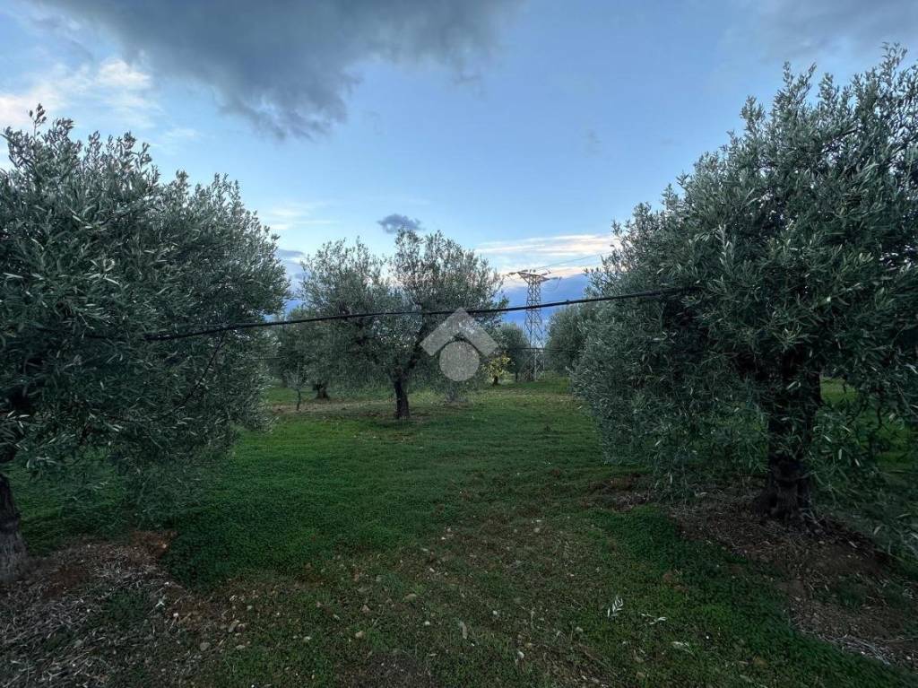 immagine annuncio 13 di 15