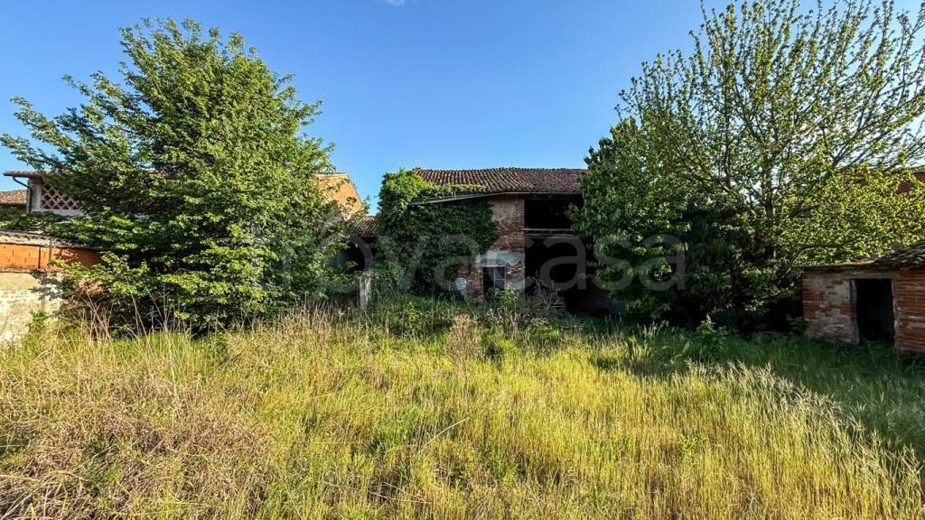 immagine annuncio 2 di 7