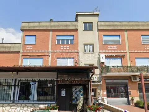 immagine annuncio 3 di 6