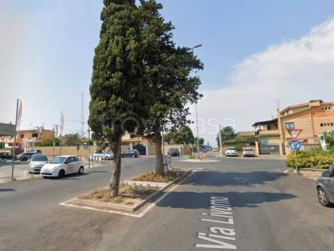 immagine annuncio 4 di 6