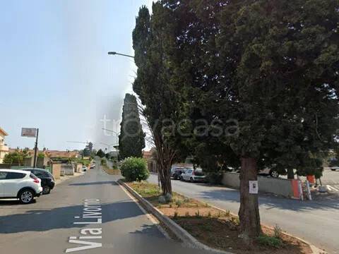 immagine annuncio 5 di 6