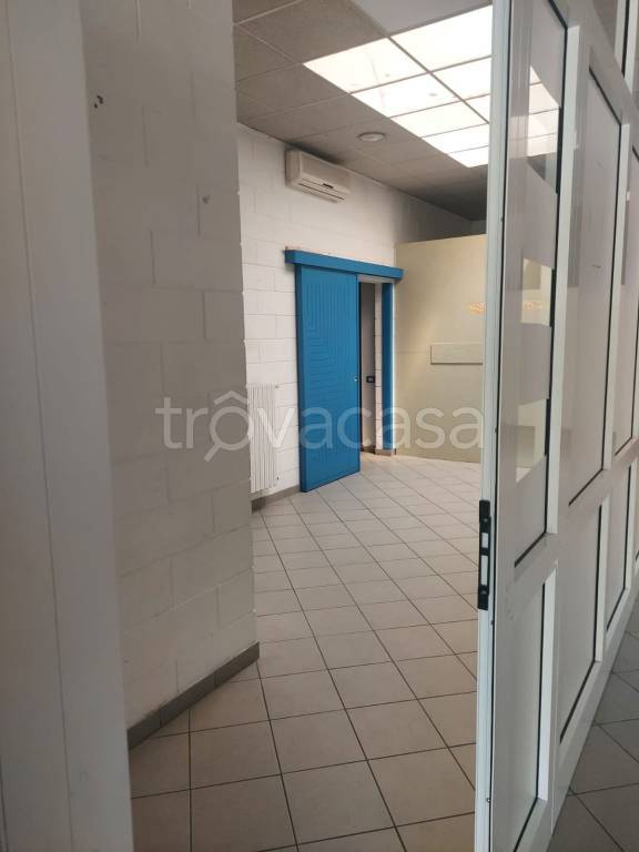 immagine annuncio 6 di 9