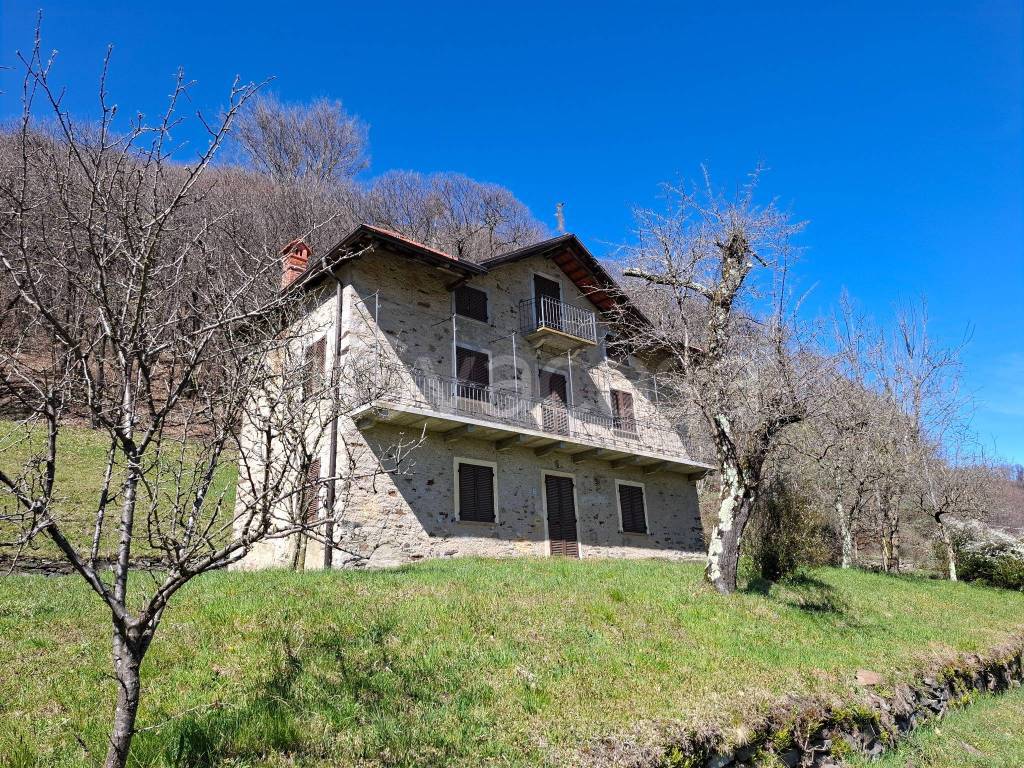 immagine annuncio 2 di 13