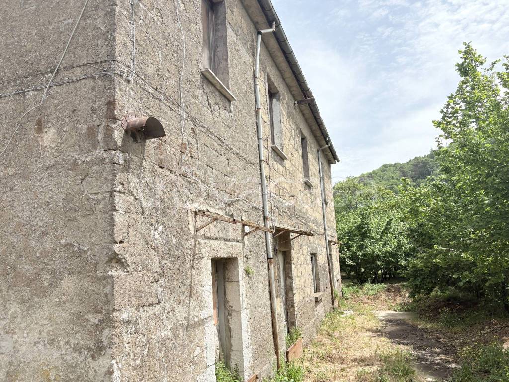 immagine annuncio 9 di 13