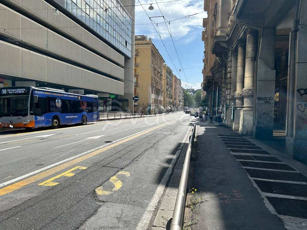 immagine annuncio 6 di 11