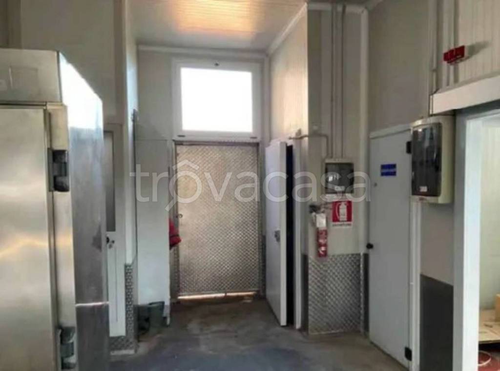 immagine annuncio 10 di 12