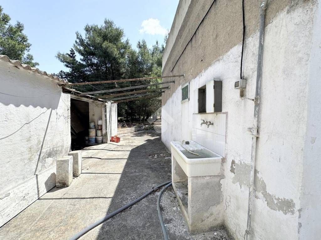 immagine annuncio 8 di 15