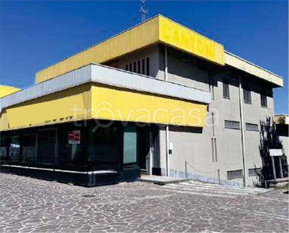 immagine annuncio 11 di 14