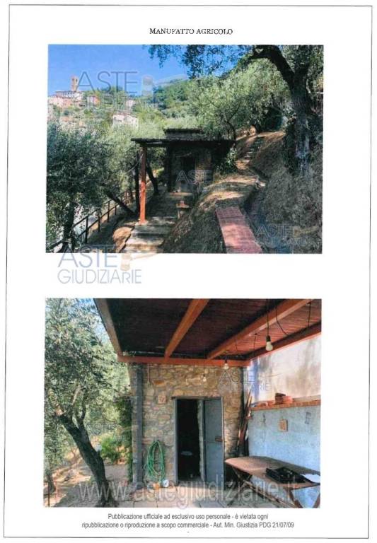 immagine annuncio 5 di 14