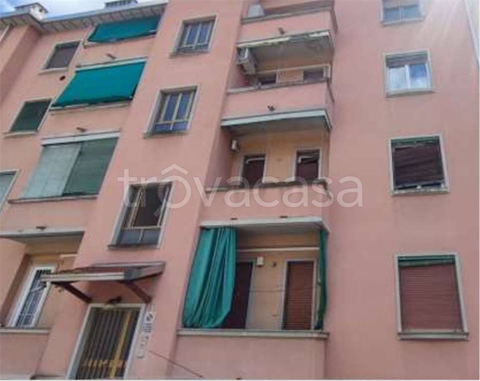immagine annuncio 3 di 14